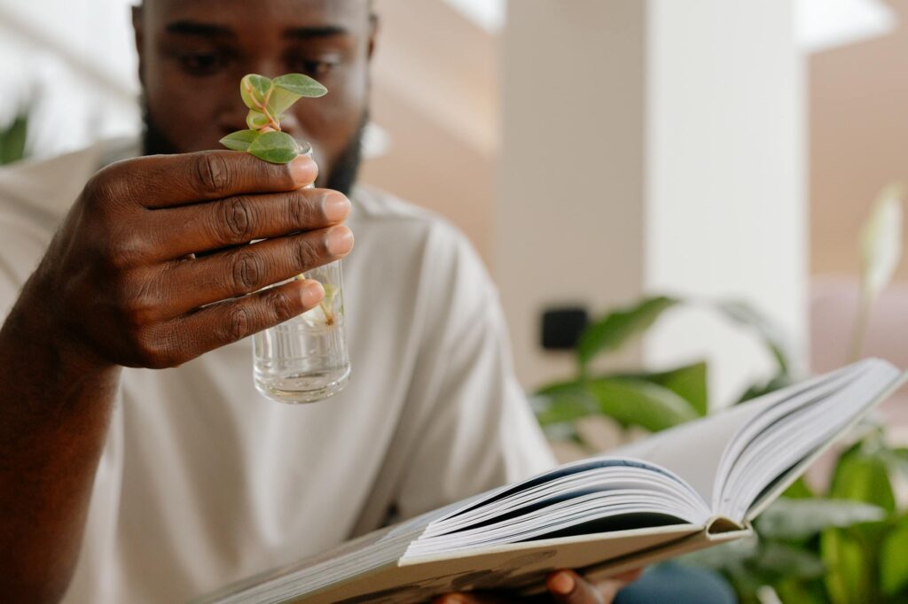 personal growth 2026