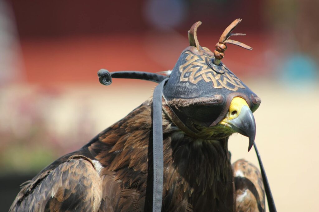 atlanta falcons minnesota vikings game