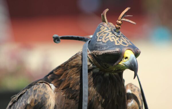 Falcons vs. Vikings Player Stats: Your Deep Dive (2026)