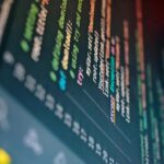 custom software development