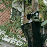 a discovery of witches cast