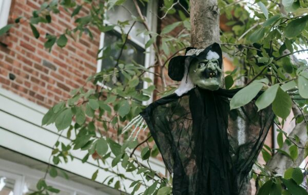 A Discovery of Witches: Your 2026 Guide to the Magical World