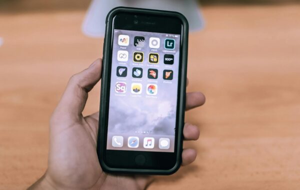 Sinpcity: What It Is and Why It Matters