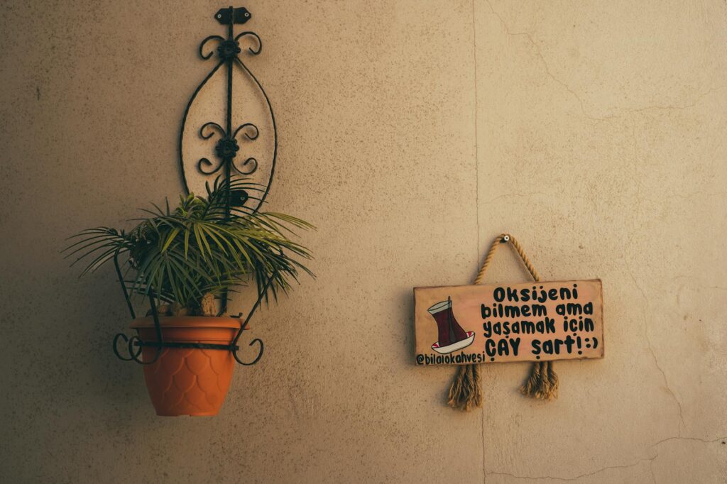 Turkish slang cultural context