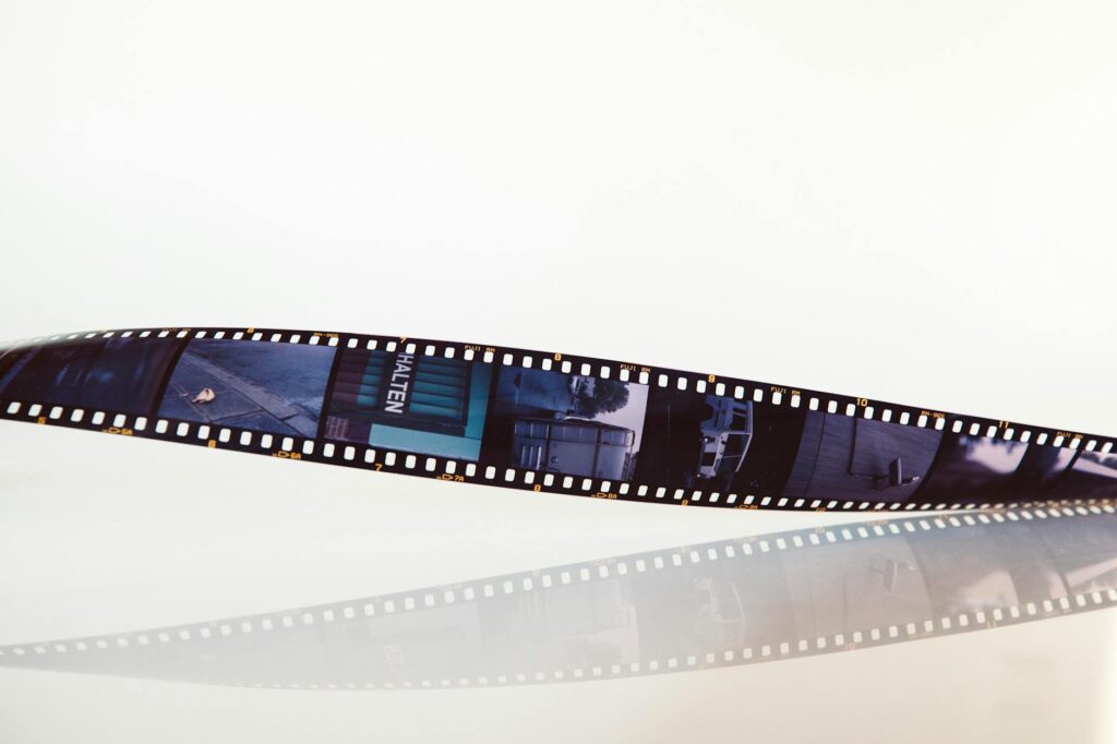 What Is Mollygram? Features, Uses, and Quick Start Guide [Case Study]