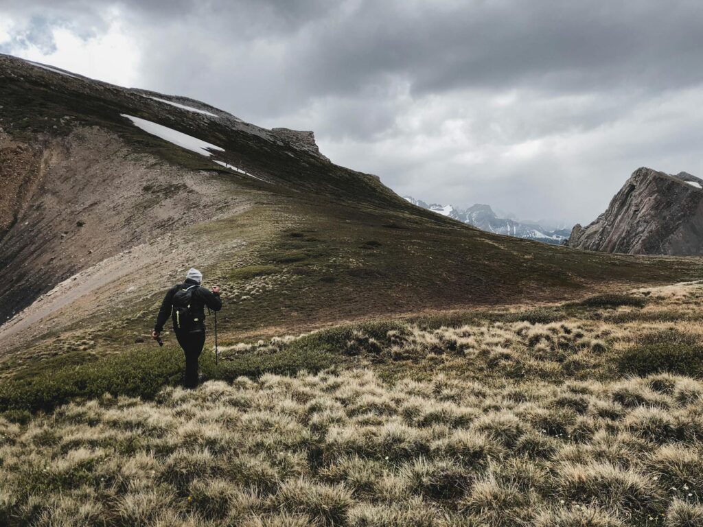 Anthea Turner: A Career Built on Value & Resilience