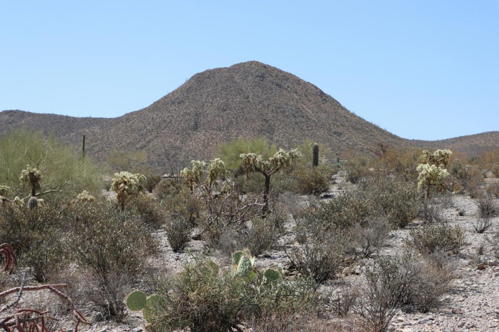 Arizona Time Zone Guide 2026: Exact MST Rules, DST