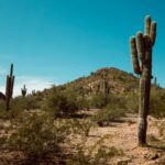 Arizona Time Zone: What You Need to Know