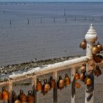 Asalia Nazario Zoe Saldana family