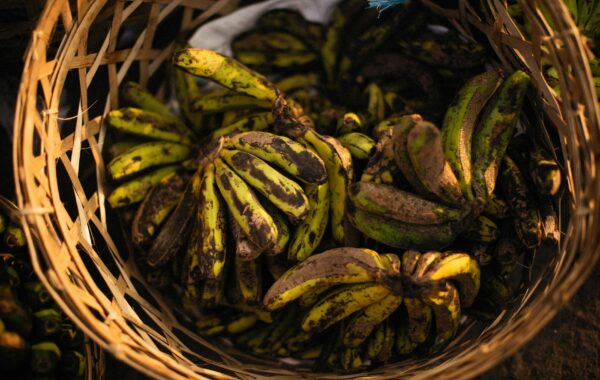 Plum Tomatoes: Your Ultimate Guide to Flavor & Versatility