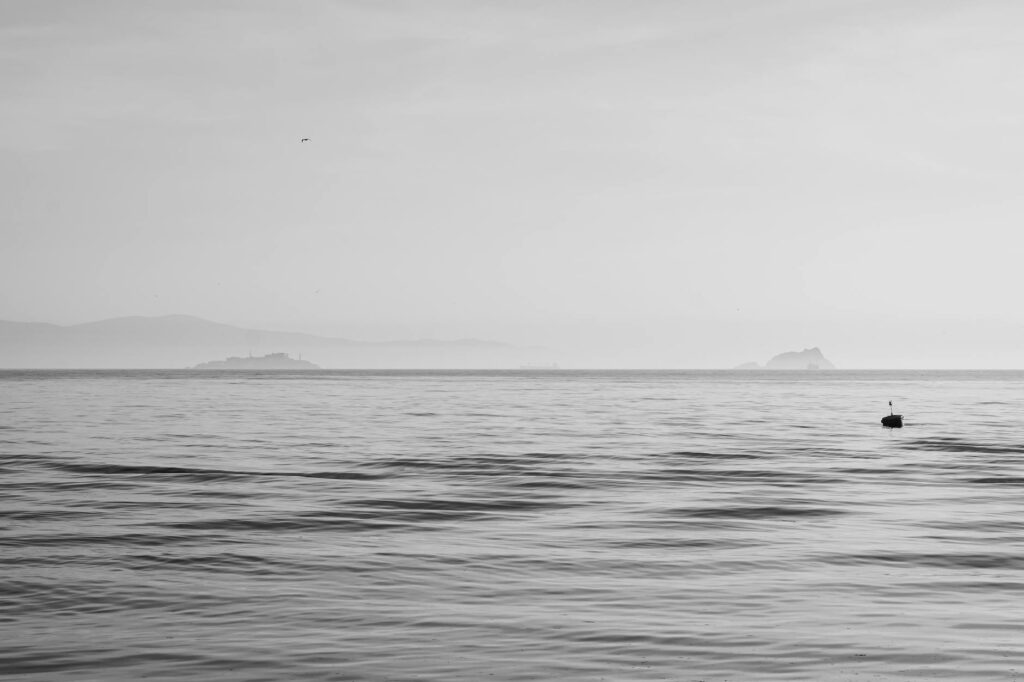 calm minimalist living room