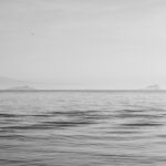 calm minimalist living room