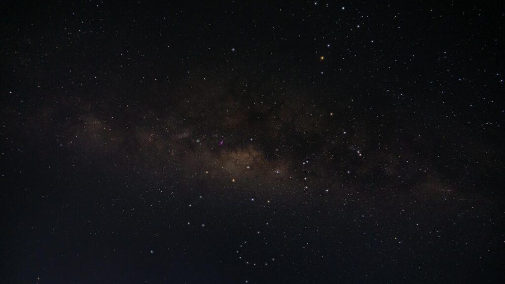 Carlos Scola Pliego businessman