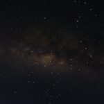 Carlos Scola Pliego businessman