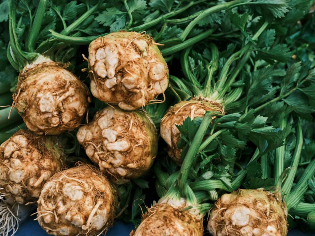 celeriac root vegetable