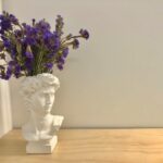 David Sanov Alison Sweeney