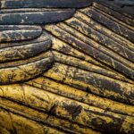 Dishonored Ryona Brothel: A 2026 Gameplay Guide