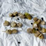 Foenegriek: Your Ultimate Guide