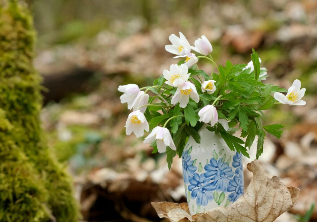 forest floral perfume