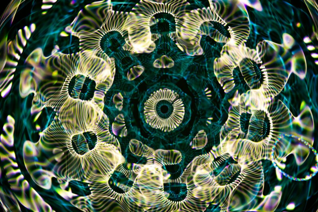 fractal patterns nature