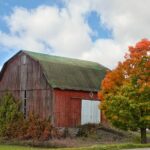 Garret Barnes: The Dutch Founder Behind Europe’s Tech Giant