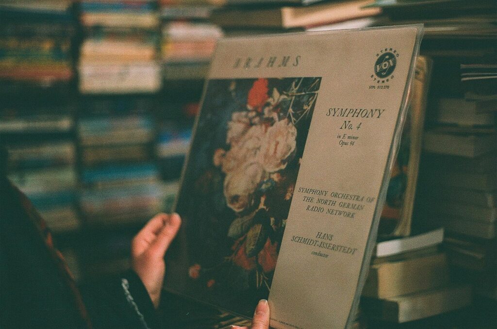 gisele schmidt portrait