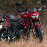 Izuka Hoyle professional headshot