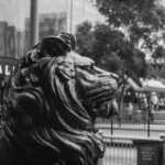 Lauren Deleo professional