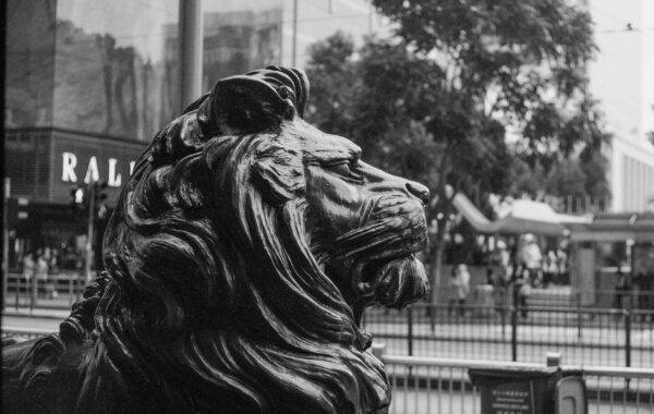 Lauren Deleo: Impact and Influence in 2026