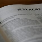 malachi ross system illustration