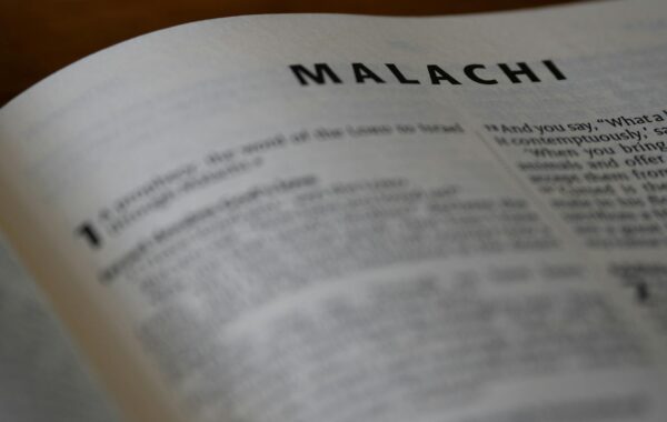 Malachi Ross: Your Expert Guide to Mastering It (2026 Update)