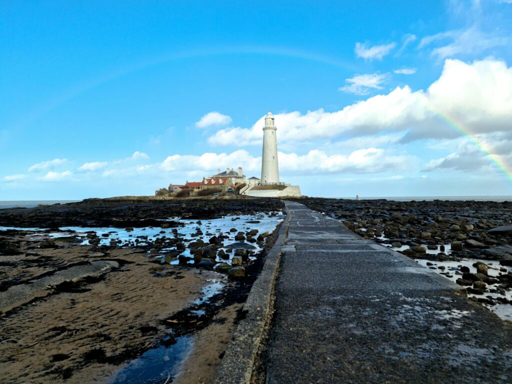 Mary Beougher professional