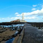 Mary Beougher professional