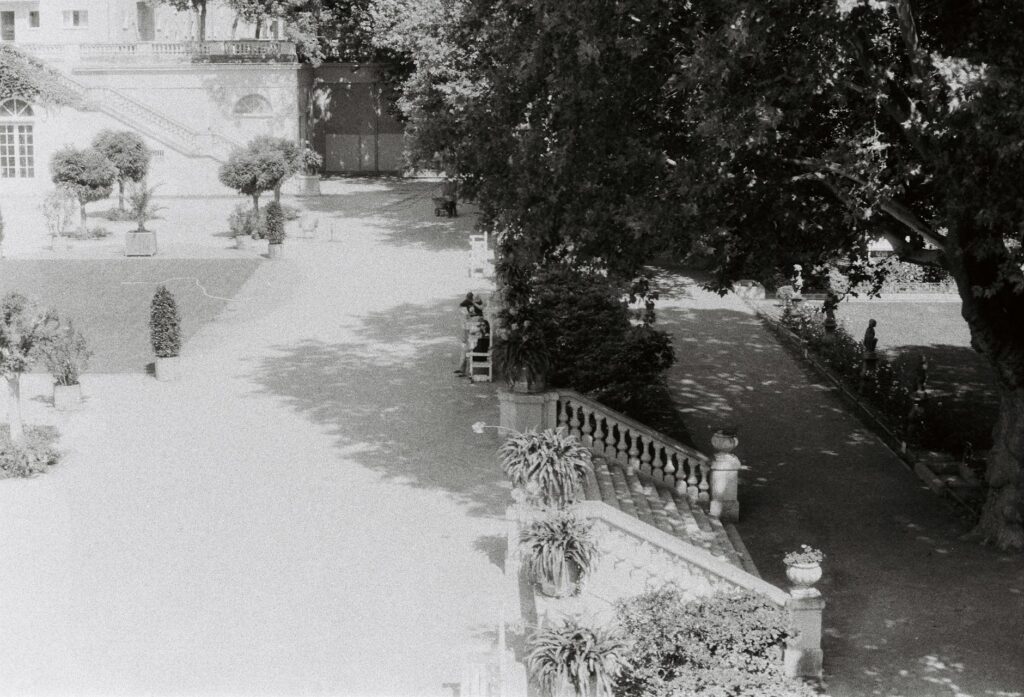 Meredith Schwarz: Who Is She and What’s Her Impact?