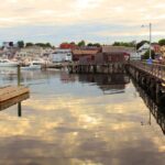 Nancy Harbour executive husband