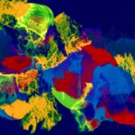 Nerwey: Your Definitive Guide to Its Impact