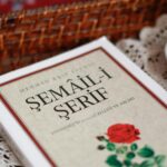 Dialing Code 646: Your Guide to NYC Area Codes