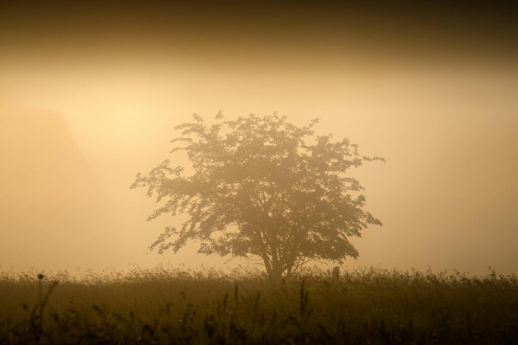 Northwestern Kellogg Global Hub