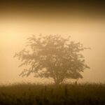 Northwestern Kellogg Global Hub