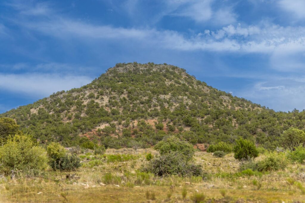 The 915 Area Code: It’s Not Just El Paso