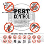 pest control business growth