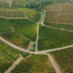 Piedmont Triad North Carolina map