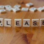 The Pilfer Word Game: A 2026 Cost & Value Analysis