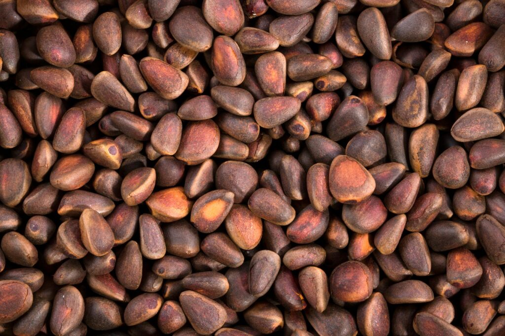 pine nuts close up