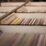 public records verification