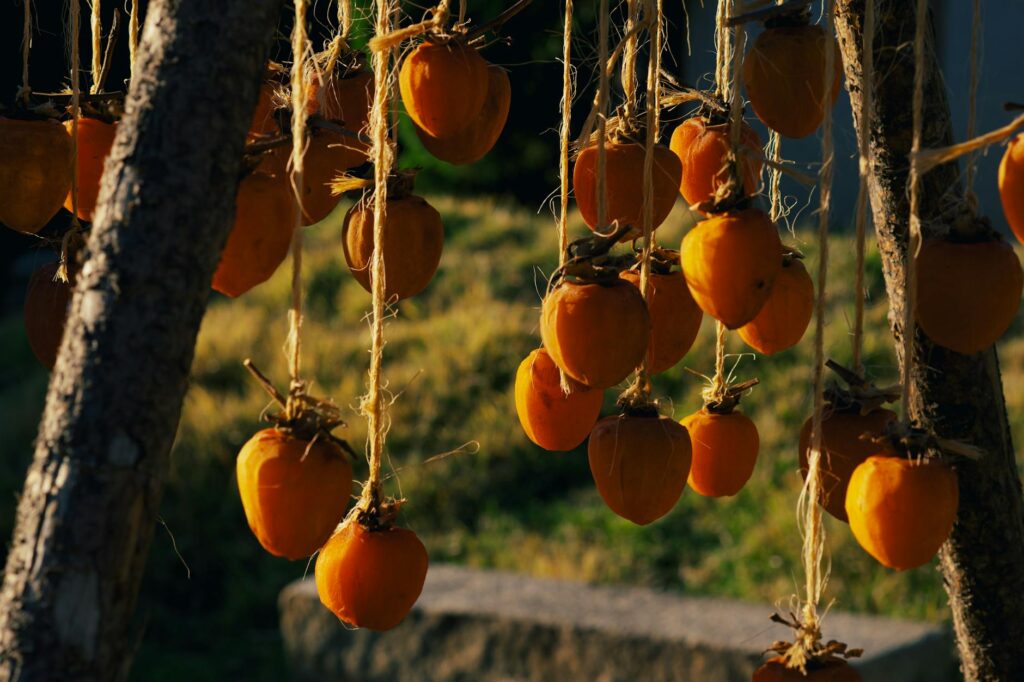 ripe Hachiya and Fuyu persimmons