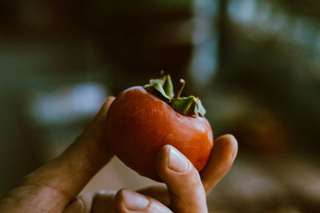 ripe Hachiya and Fuyu persimmons side by side