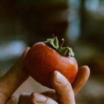 Ripe Persimmon Guide: From Astringent to Ambrosial