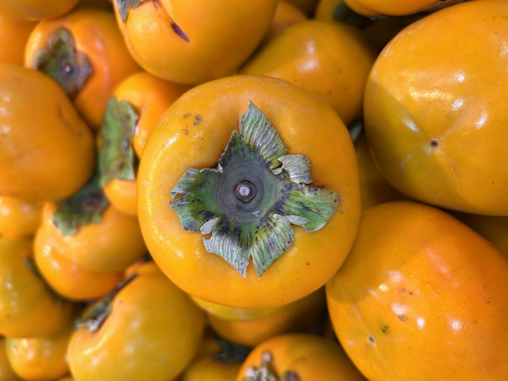 ripe persimmons