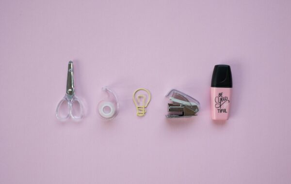 Robin Stapler: Your Complete Buying & Usage Guide 2026